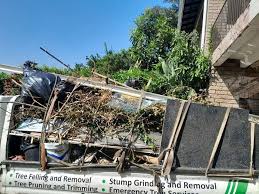 Professional Junk Removal in Thorndale, TX